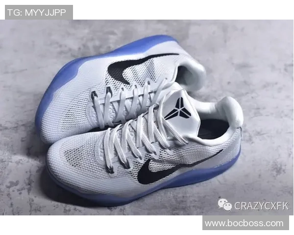 全面解析Nike篮球鞋系列从经典到创新的全方位指南