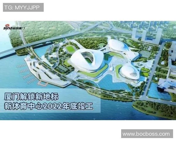 厦门职业足球的崛起与发展探索助力城市体育文化新篇章