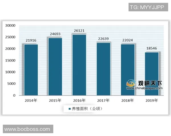 山东地区篮球队企业盘点及其发展现状分析