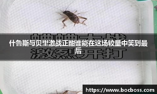 emc体育app下载